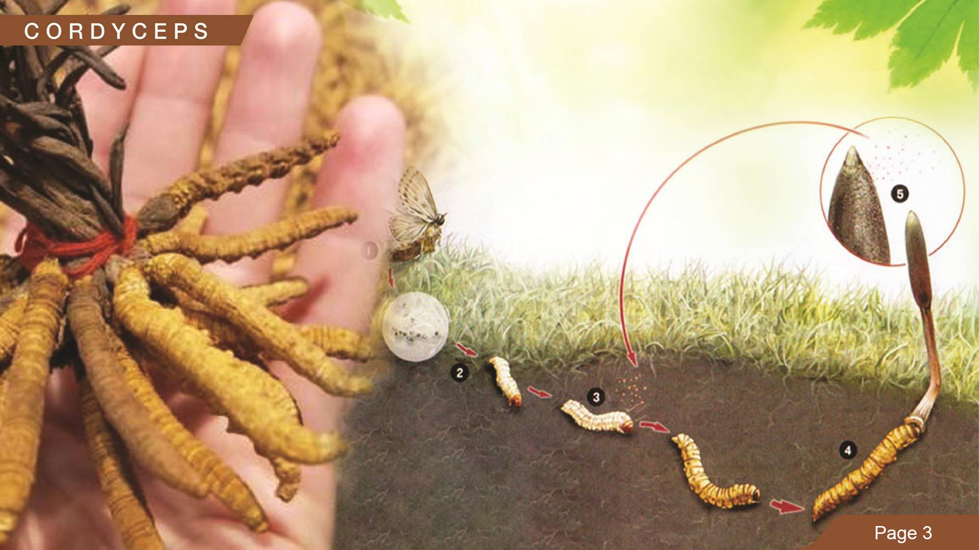 Education content image